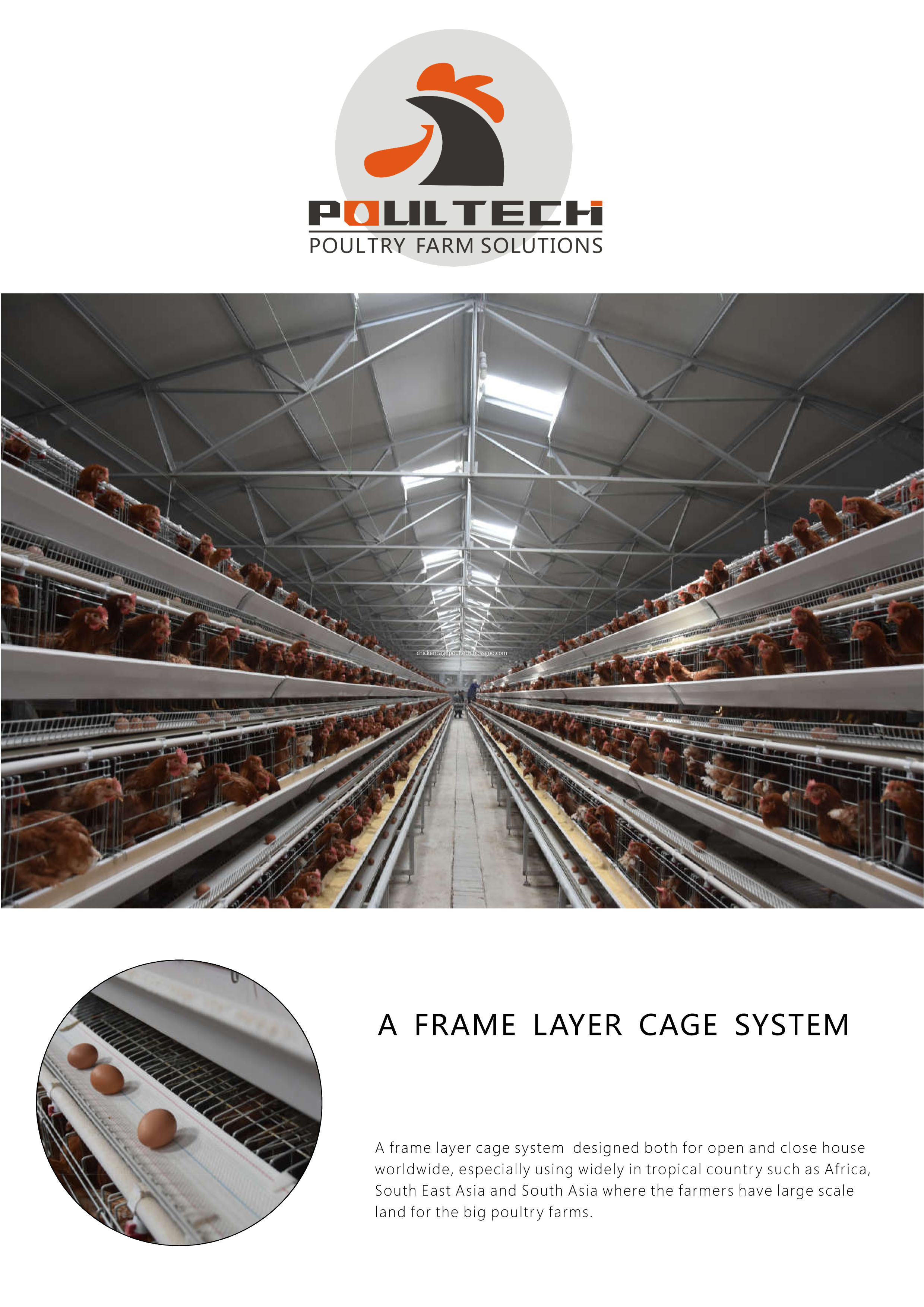 A frame layer chicken cage system-1