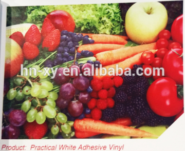 Practical White Adhesive Vinyl self adhesive vinyl