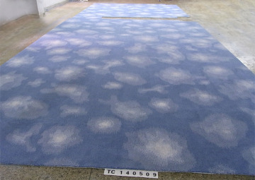 Wall to Wall Nylon Carpet/Handtufted Rugs