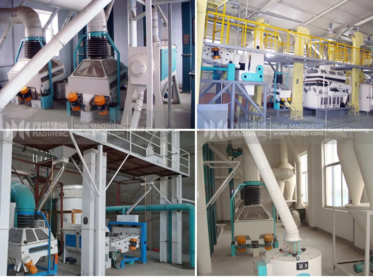 Soybean Sesame Rice Destoner Machine