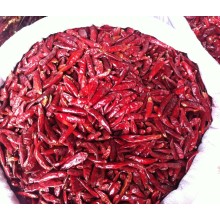 Chinesische hochwertige getrocknete rote Paprika