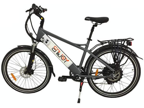 500W Powerful E-Bike Made in China 36V9ah E-Bicycle Electric Scooter (PE-TDE11Z)