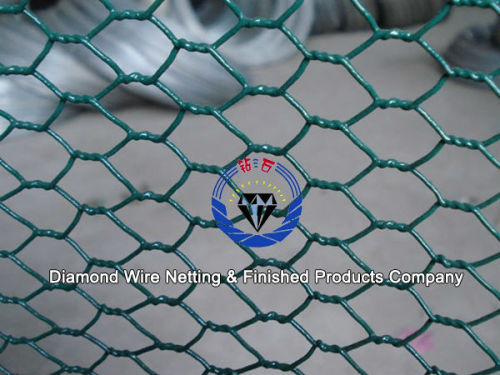 Galvanized and PVC Coated hexagonal wire mesh/plastic fishing netting