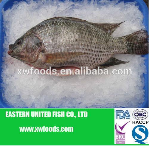 Gutted & Scaled tilapia mossambica