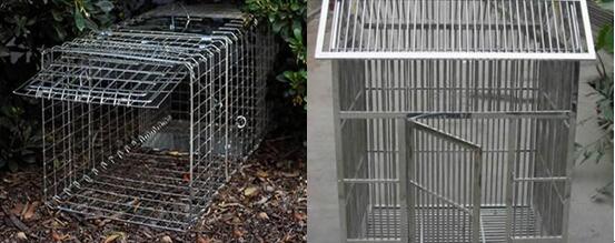 Stainless Steel Welded Mesh Cage