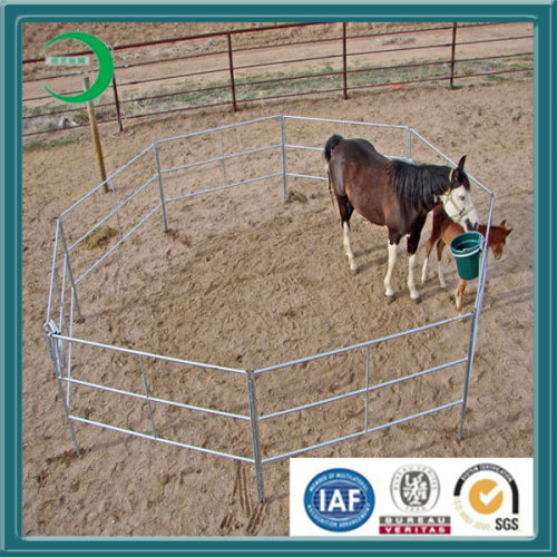 Galvanized Cattle Panel/Corral (XYL20133)