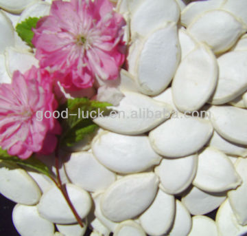 China Pumpkin Seed Price