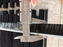 PP nylon strip brushes door brush