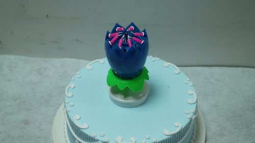 Amazing Flower Lotus Lights Musical Birthday Candle Cake