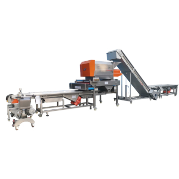 Professional Grape Processing Line: Sorting, Crushing & Winemaking Equipment