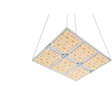 LED GRUB LIGHT PARA LAS LUCES DE CECUENTA DEL CONDUCTOR DE LAS PLANTAS