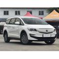 V zalogi Livan Maple 80V Pro Electric Car Adult 2WD dolgi kilometrini SUV hitri naboj New Energ