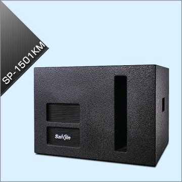Professional Active Karaoke Sub-Woofer