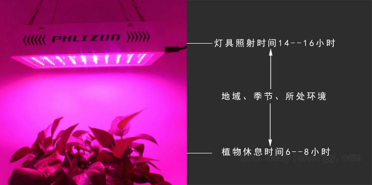 Led Plant Lighting