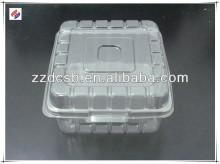 blister plastic clamshell fruit tray packaging manufacturer