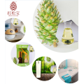 Pine cone essencial Öl frische Pflanze Aroma