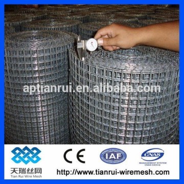 stainless steel Welded Wire Mesh/galvanized welded wire mesh