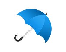 auto open umbrella