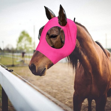Customize Horse Riding: Equestrian Equip, Fly Veil, Mesh Ear, Mini Fly Masks