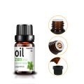 Oem odm grosir peppermint oil oil purify udara