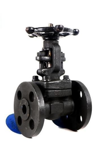 DN25-DN300 Forged steel gate valve