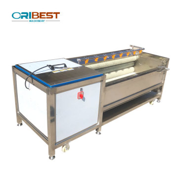 Automatic Vegetable and Fruit Peeling Cleaning Machine & Dry Dates Washer