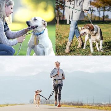 Huisdieren hond kakhouder voor leiband