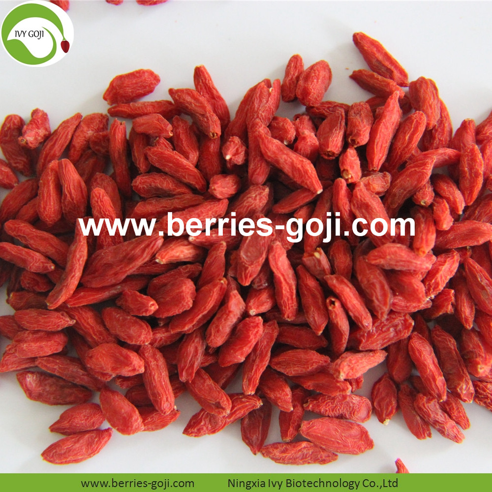 Goji-Beeren goji berry