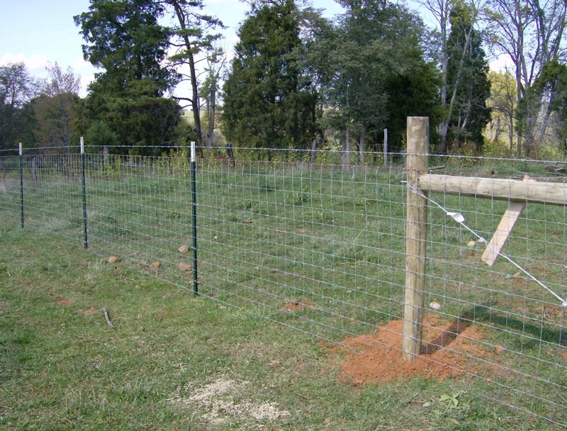 Wholesale Cheap Price Game Fence Hot Dipped Galvanized Field Fence