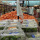 Supermarket Produce Plastic Food Bags on a Roll