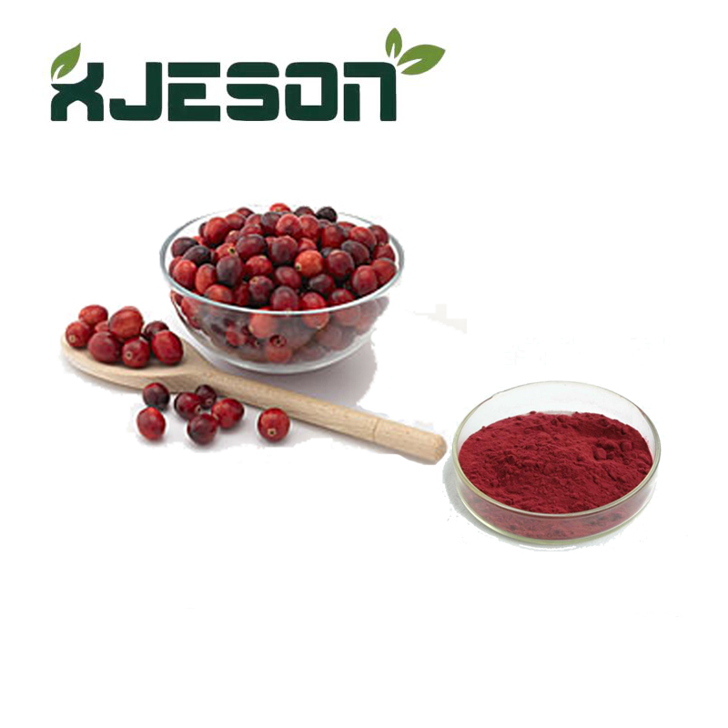 Plant Extract Online Shopping Cranberry Extract