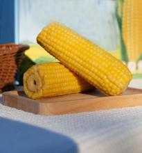 Instant Pot Corn On The Cob