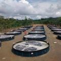 Liner plastik hdpe geomembrane udang pertanian kolam liner