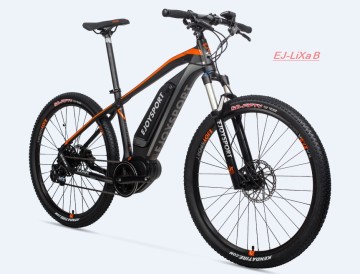 Customized Electric Off Road Bike