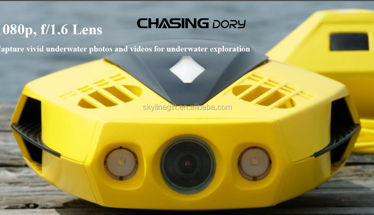 Underwater Drone CHASING DORY Underwater photos and videos for underwater exploration