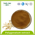 Polygonatum extract solid beverage contains polysaccharide