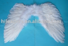 Feather Wing