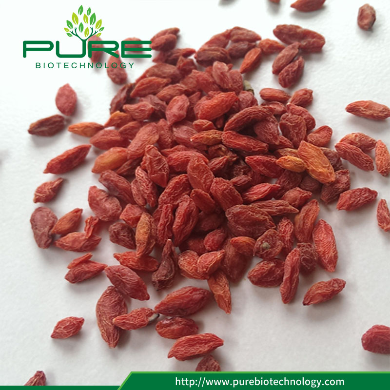 Erbe Bacche di Goji Herbs Goji Berries