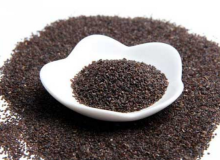 Plantago asiatica L.