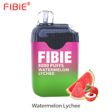 Fibie pro 8000 puffs Wholesale vape