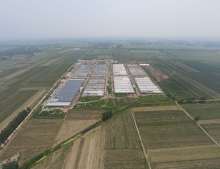 Modernized Pig Farming Project in Linquan County Fuyang