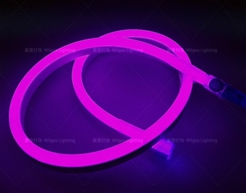 Violet color LED Neon Lamp