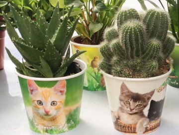 New Disposable Paper Pots Garden for Plant Growing