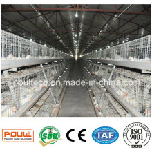 Sistema de jaula de pollo de granja Poul Tech