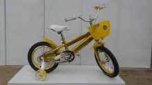 Every Size Beautiful Hot Selling Children Bicycle