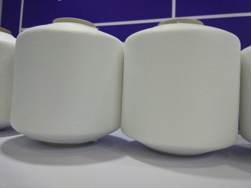 Polyester Embroidery Thread Raw White