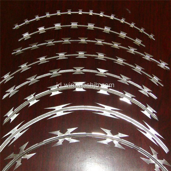 Hot-dip Galvanized Concertina Razor Wire