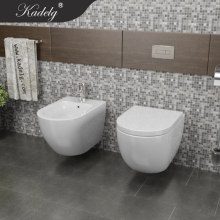 China Sanitary Ware Ceramic Wall-Hung Toilet Set with Bidet