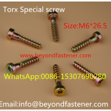 Specail Screw Thread From B Self Tapping Screw