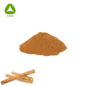 Wholesale Organic Burdock Root Extract Powder